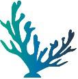 REEF logo